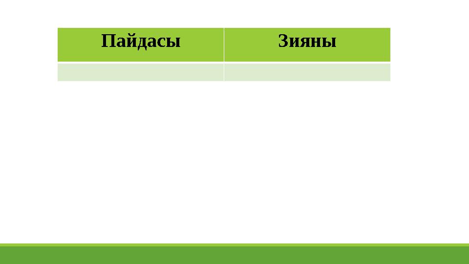 Пайдасы Зияны