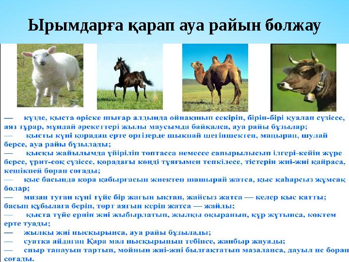 Ырымдарға қарап ауа райын болжау