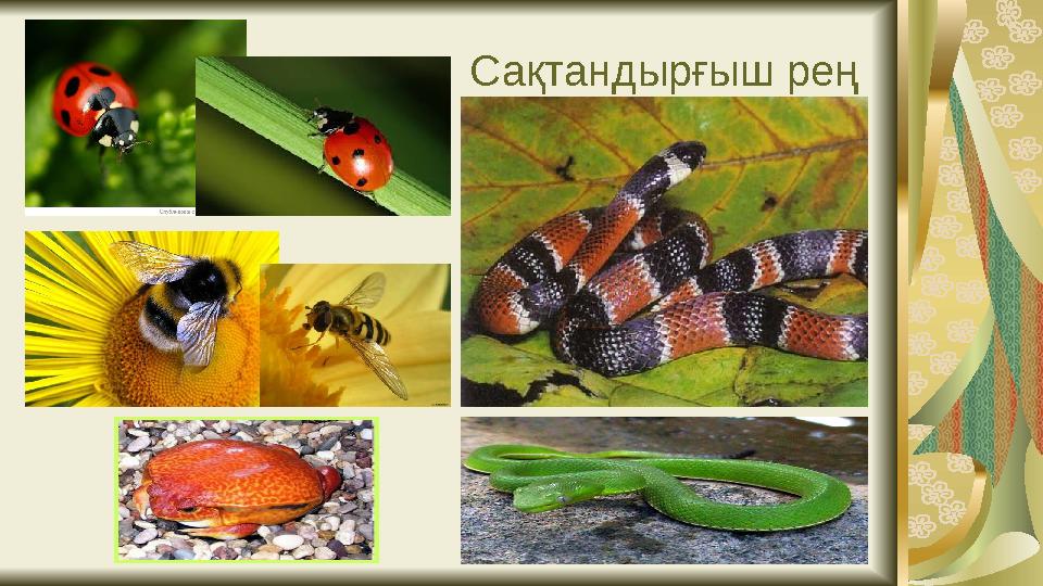 Сақтандырғыш рең