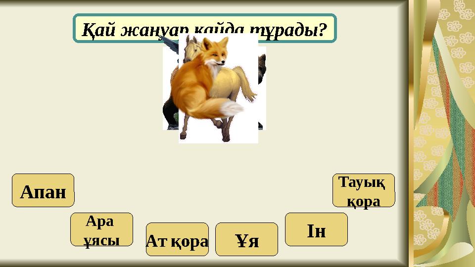 Қай жануар қайда тұрады? Апан Ара ұясы Ін Ат қора Тауық қора Ұя