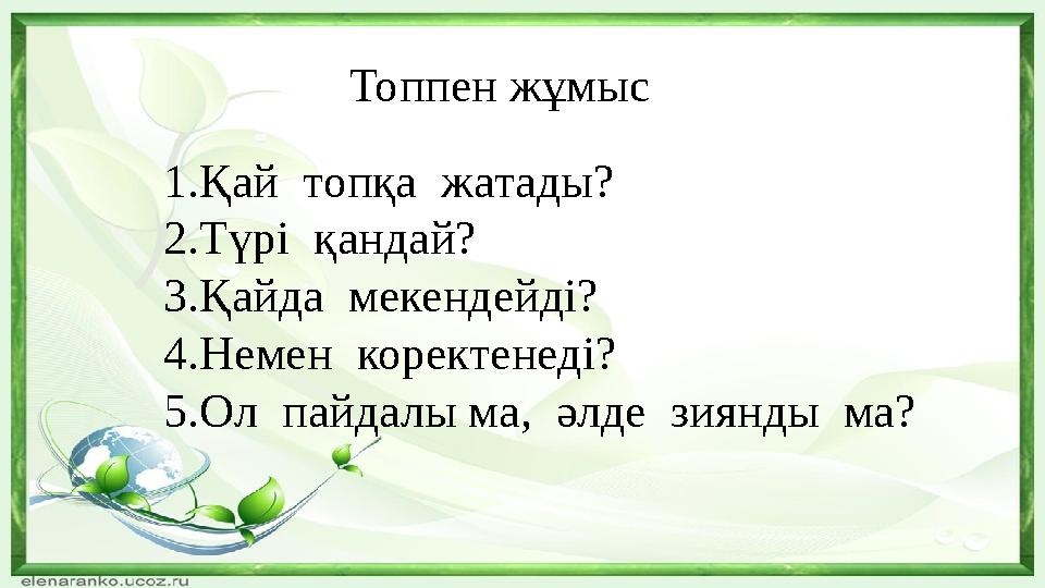 1.Қай топқа жатады? 2.Түрі қандай? 3.Қайда мекендейді? 4.Немен коректенеді? 5.Ол пайдалы ма, әлде зиянды ма? Топпен жұм
