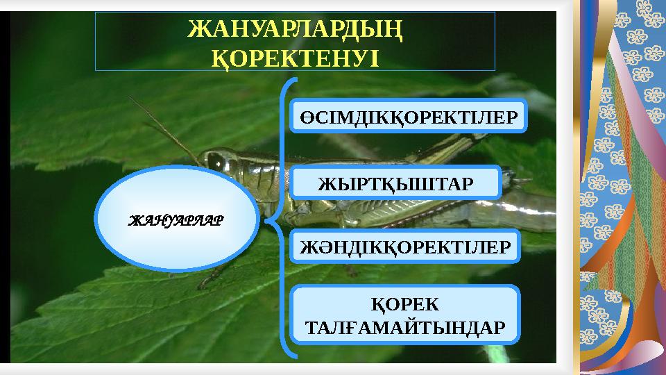 ЖАНУАРЛАРДЫҢ ҚОРЕКТЕНУІ ЖАНУАРЛАР ӨСІМДІКҚОРЕКТІЛЕР ЖЫРТҚЫШТАР ЖӘНДІКҚОРЕКТІЛЕР ҚОРЕК ТАЛҒАМАЙТЫНДАР