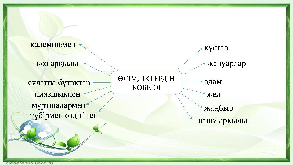 ӨСІМДІКТЕРДІҢ КӨБЕЮІ қалемшемен көз арқылы сұлатпа бұтақтар пиязшықпен мұртшалармен түбірмен өздігінен құстар жануарлар адам ж