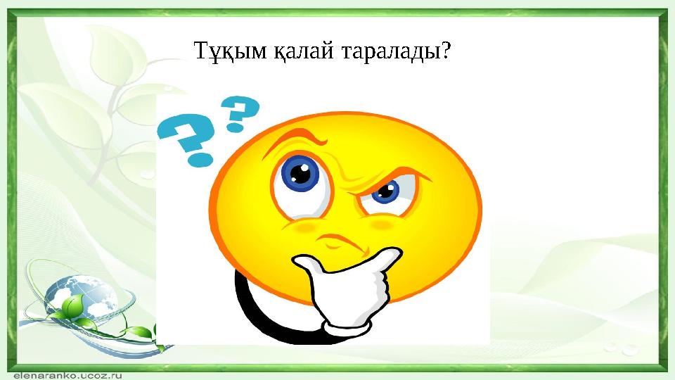 Тұқым қалай таралады?