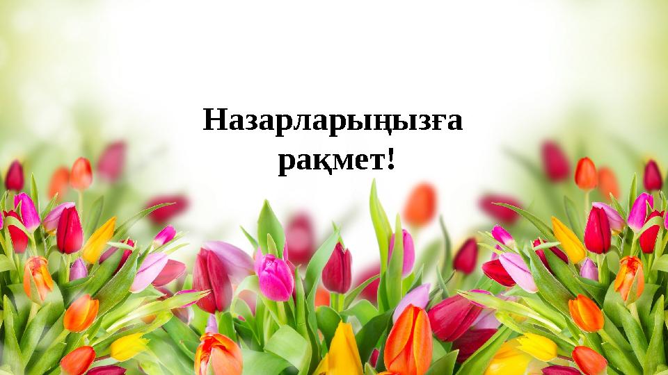 Назарларыңызға рақмет!