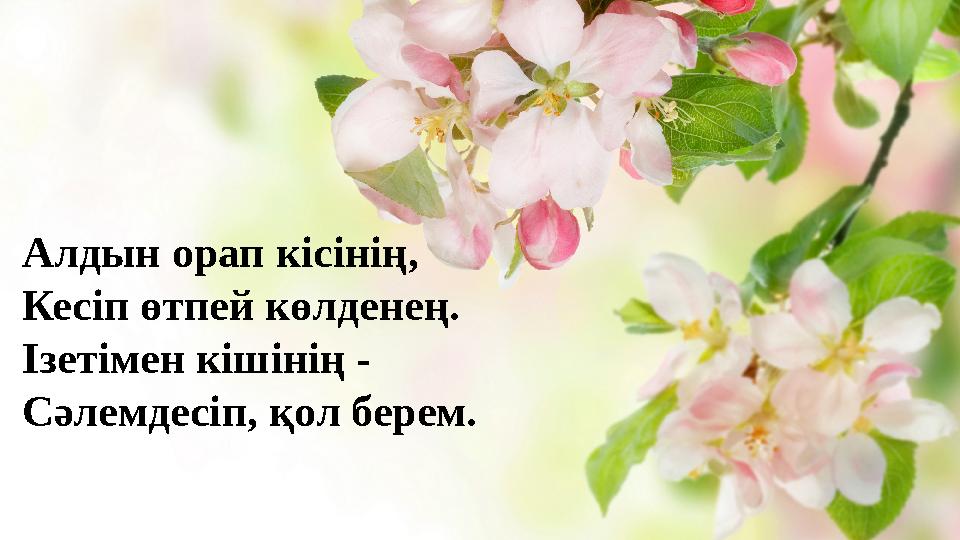 Алдын орап кісінің, Кесіп өтпей көлденең. Ізетімен кішінің - Сәлемдесіп, қол берем.