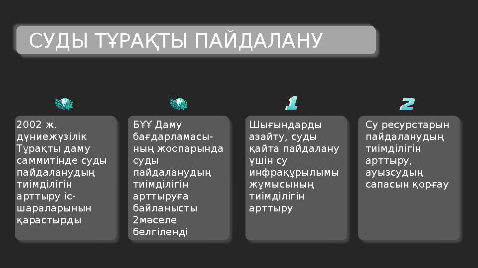 2002 ж. дүниежүзілік Тұрақты даму саммитінде суды пайдаланудың тиімділігін арттыру іс- шараларынын қарастырды СУДЫ