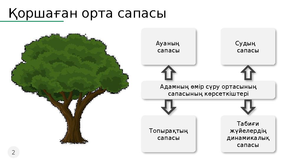 Емхананың әйелдер дәретханасына көз жүгірту