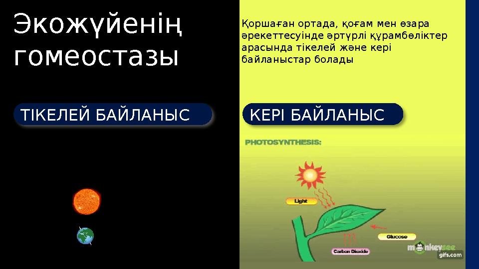 Экожүйенің гомеостазы Қоршаған ортада, қоғам мен өзара әрекеттесуінде әртүрлі құрамбөліктер арасында тікелей және кері байла