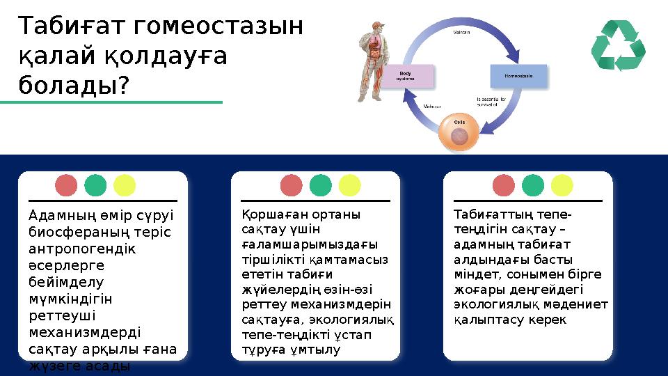 Табиғат гомеостазын қалай қолдауға болады? Адамның өмір сүруі биосфераның теріс антропогендік әсерлерге бейімделу мүмкін