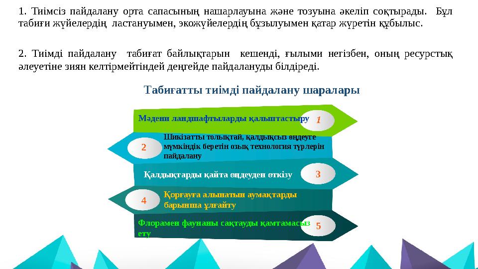 1. Тиімсіз пайдалану орта сапасының нашарлауына және тозуына әкеліп соқтырады. Бұл табиғи жүйелердің ластануымен, экожүйелерд