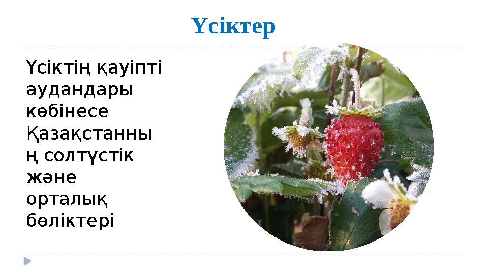 Үсіктер Үсіктің қауіпті аудандары көбінесе Қазақстанны ң солтүстік және орталық бөліктері