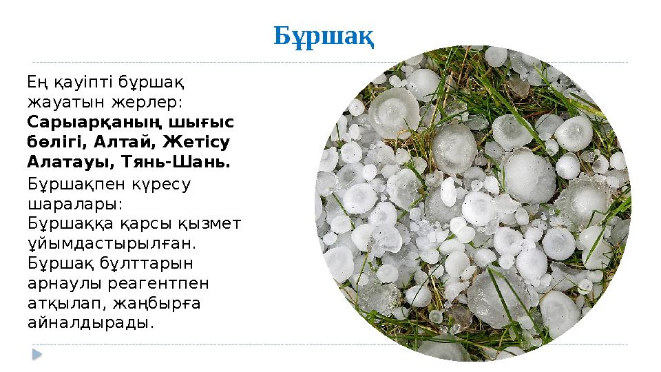 Бұршақ Ең қауіпті бұршақ жауатын жерлер: Сарыарқаның шығыс бөлігі, Алтай, Жетісу Алатауы, Тянь-Шань. Бұршақпен күресу шара