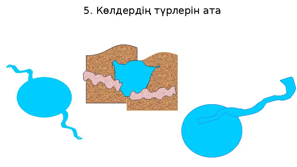 5. Көлдердің түрлерін ата