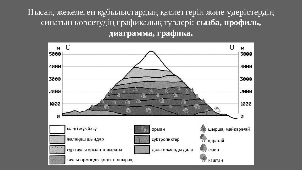 Нысан, жекелеген құбылыстардың қасиеттерін және үдерістердің сипатын көрсетудің графикалық түрлері: сызба, профиль, диаграмма