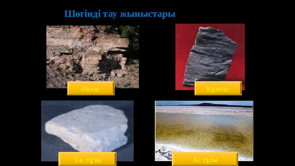 Жасыхтар онлайн