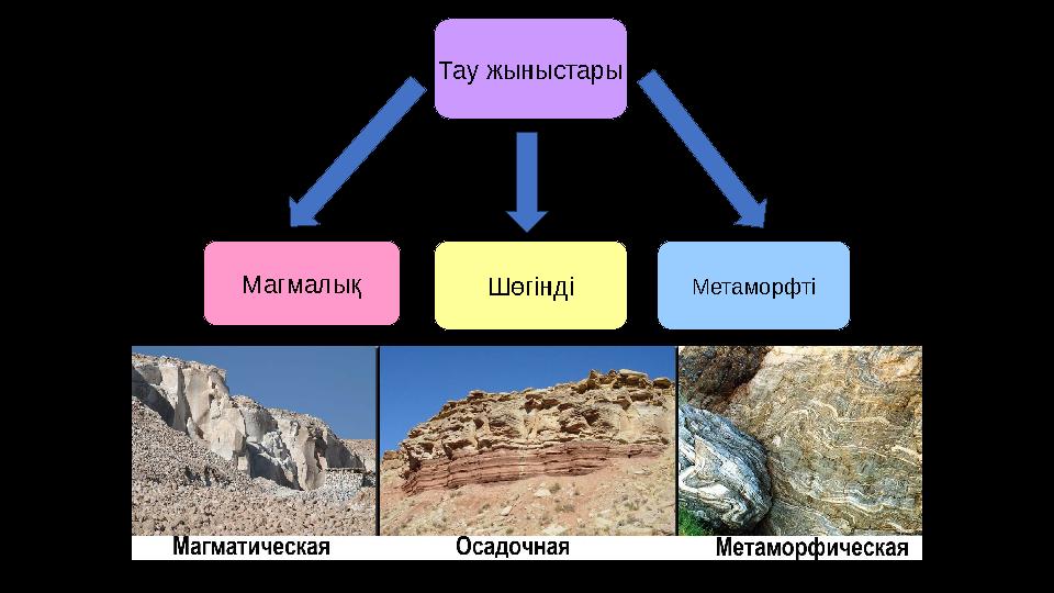 Секс мультфильмі: Ересек ханшайым