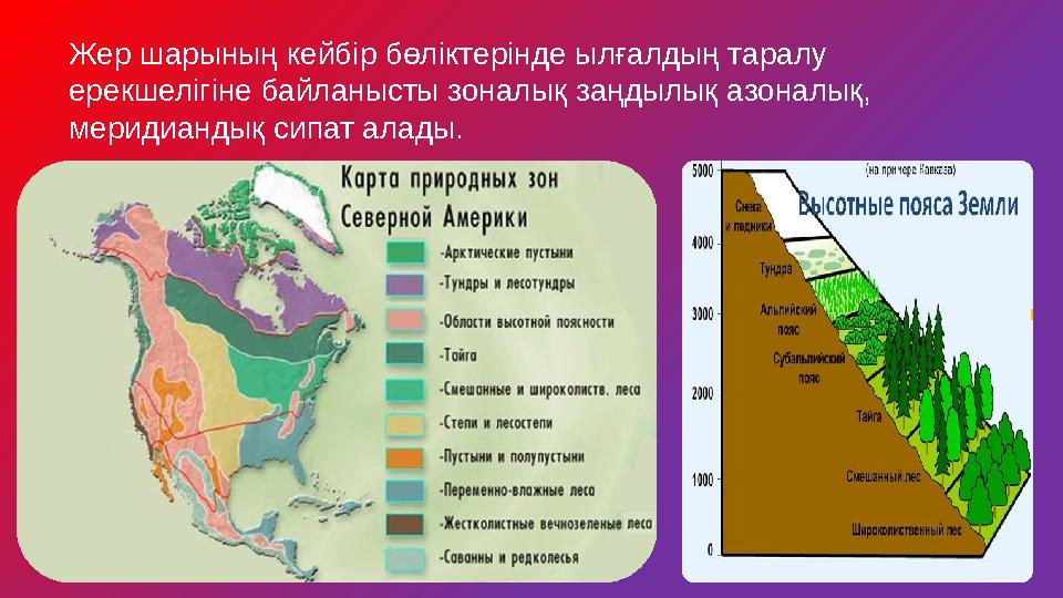 Жер шарының кейбір бөліктерінде ылғалдың таралу ерекшелігіне байланысты зоналық заңдылық азоналық, меридиандық сипат алады.