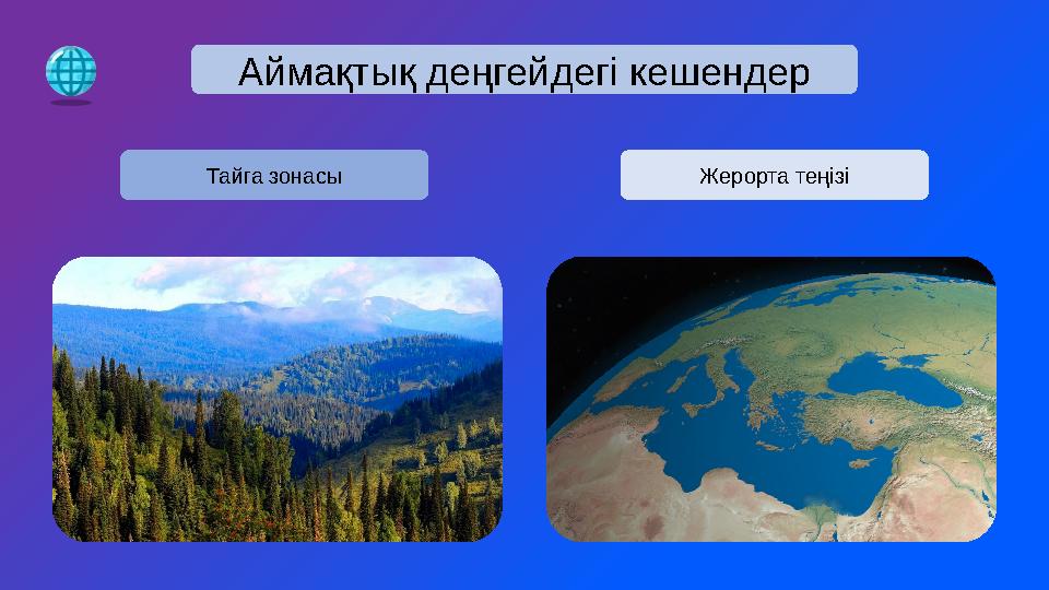 Аймақтық деңгейдегі кешендер Тайга зонасы Жерорта теңізі