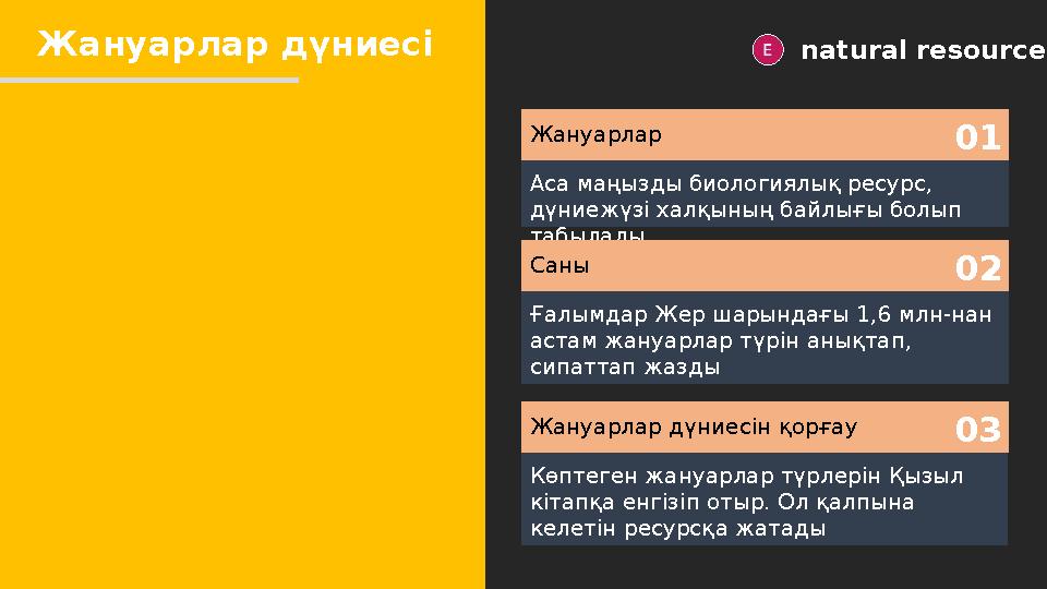 Жануарлар дүниесі natural resources Жануарлар Аса маңызды биологиялық ресурс, дүниежүзі халқының байлығы болып табылады 01 Сан