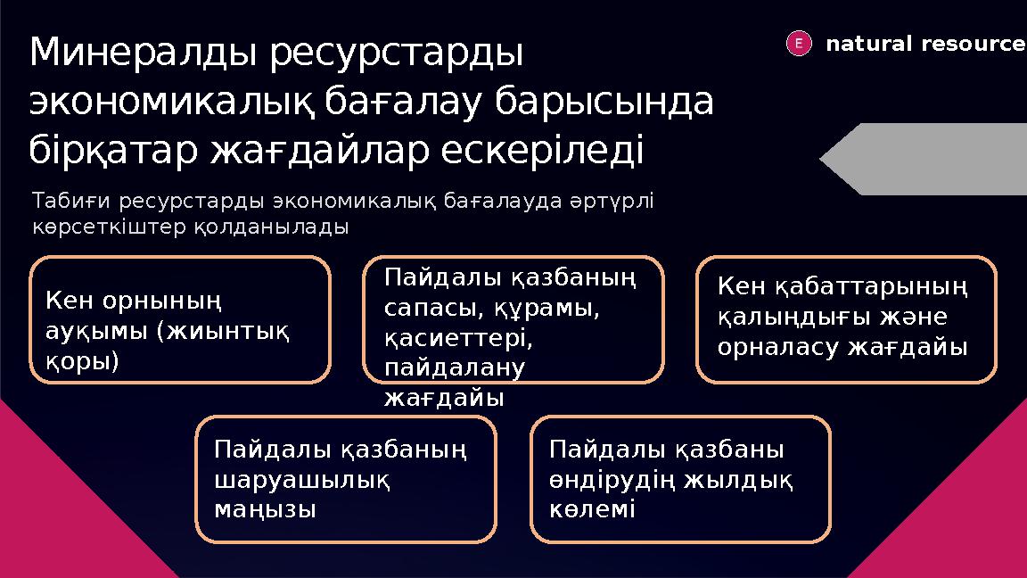 Минералды ресурстарды экономикалық бағалау барысында бірқатар жағдайлар ескеріледі natural resources Табиғи ресурстарды эконо