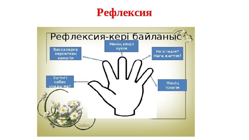 Рефлексия