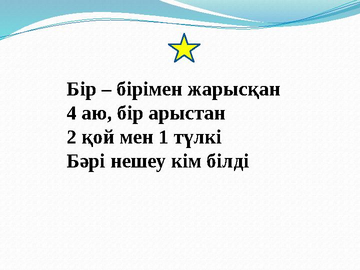 Бір – бірімен жарысқан 4 аю, бір арыстан 2 қой мен 1 түлкі Бәрі нешеу кім білді