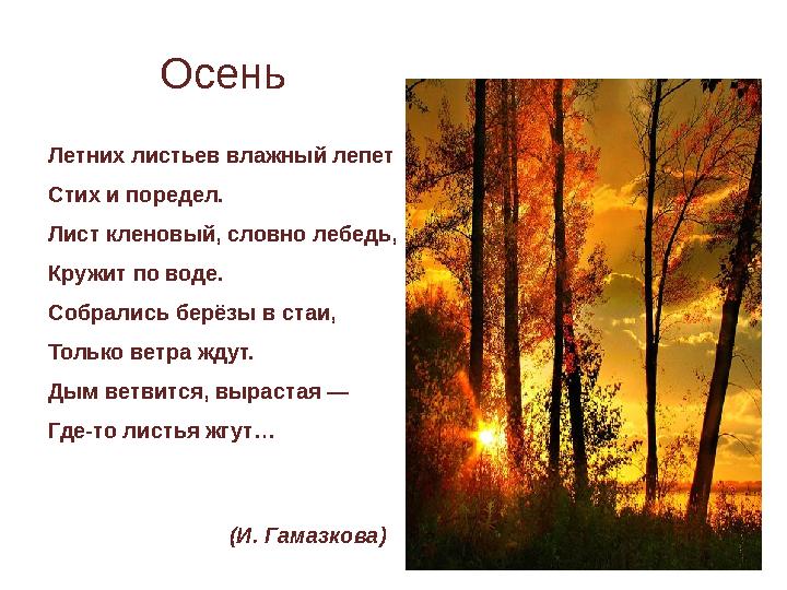 Летних листьев влажный лепет Стих и поредел. Лист кленовый, словно лебедь, Кружит по воде. Собрались берёзы в стаи, Только ветра