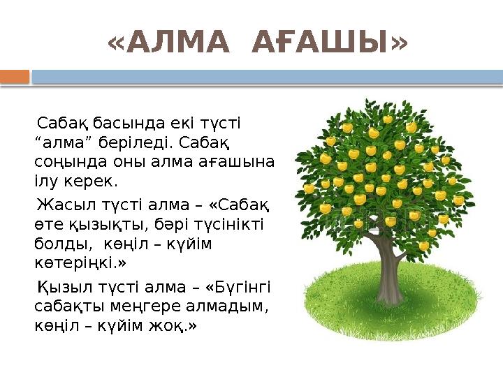 «АЛМА АҒАШЫ» Сабақ басында екі түсті “алма” беріледі. Сабақ соңында оны алма ағашына ілу керек. Жасыл түсті алма