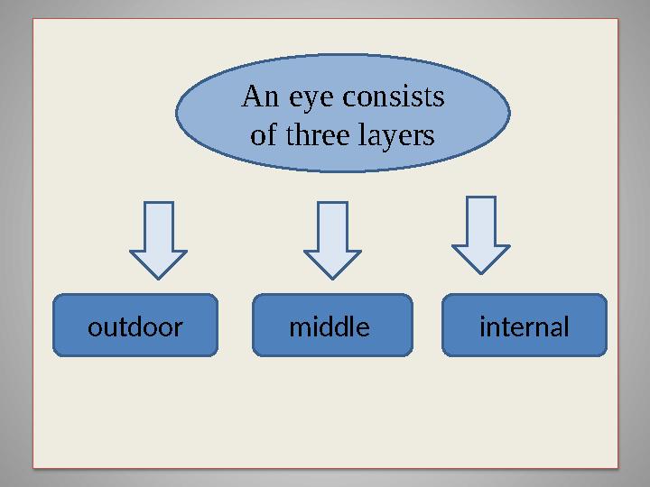 An eye consists of three layers outdoor middle internal