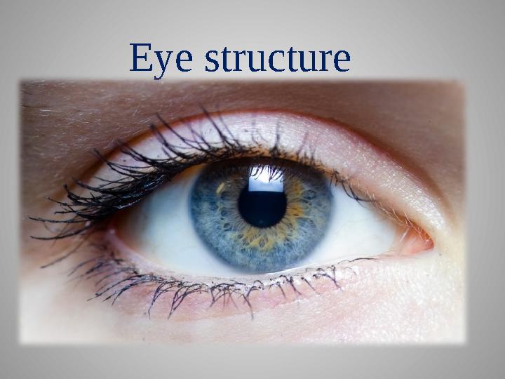 Eye structure