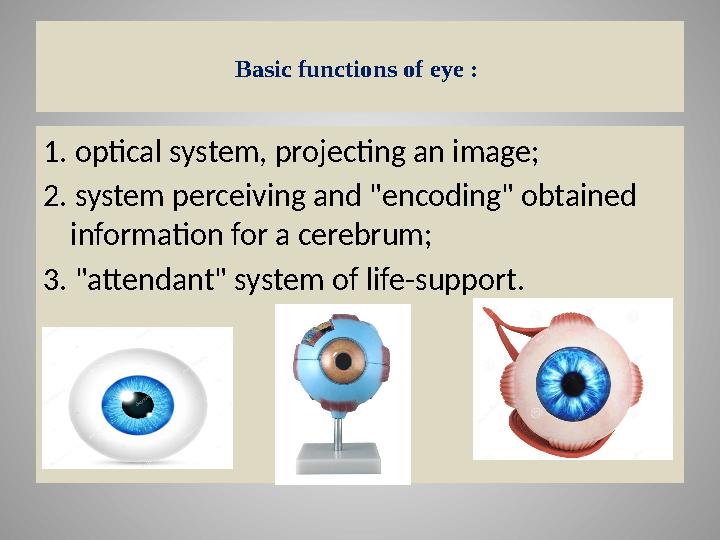 Basic functions of eye : 1. optical system, projecting an image; 2. system perceiving and "encoding" obtained information for