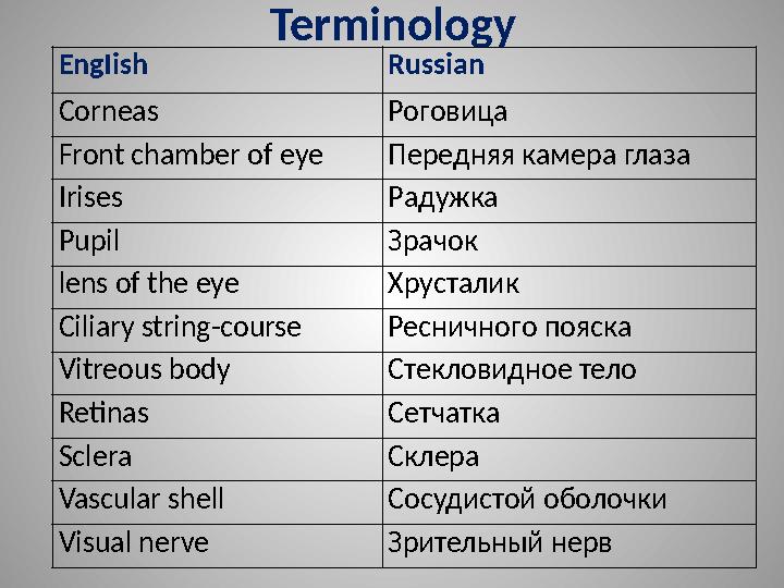 Terminology EngIish Russian Сorneas Роговица Front chamber of eyeПередняя камера глаза Irises Радужка Pupil Зрачок lens of the e