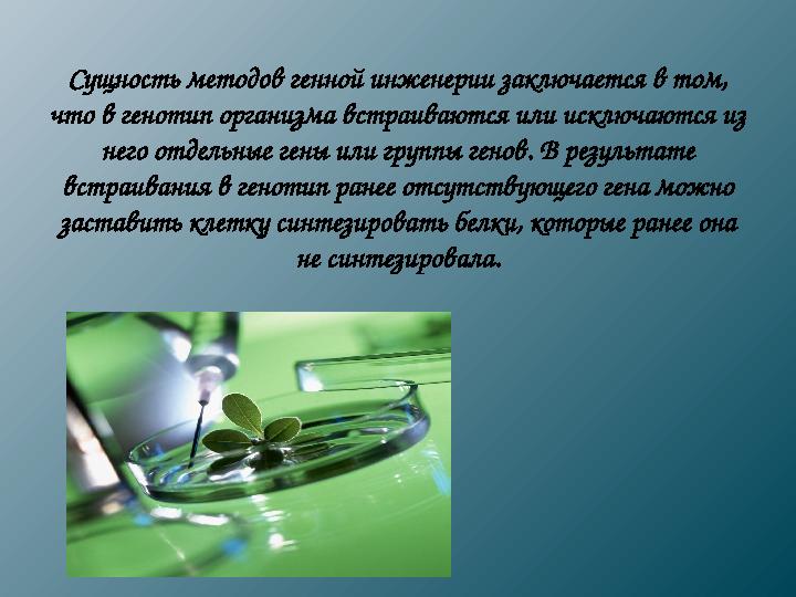 Сущность методов генной инженерии заключается в том, что в генотип организма встраиваются или исключаются из него отдельные ге