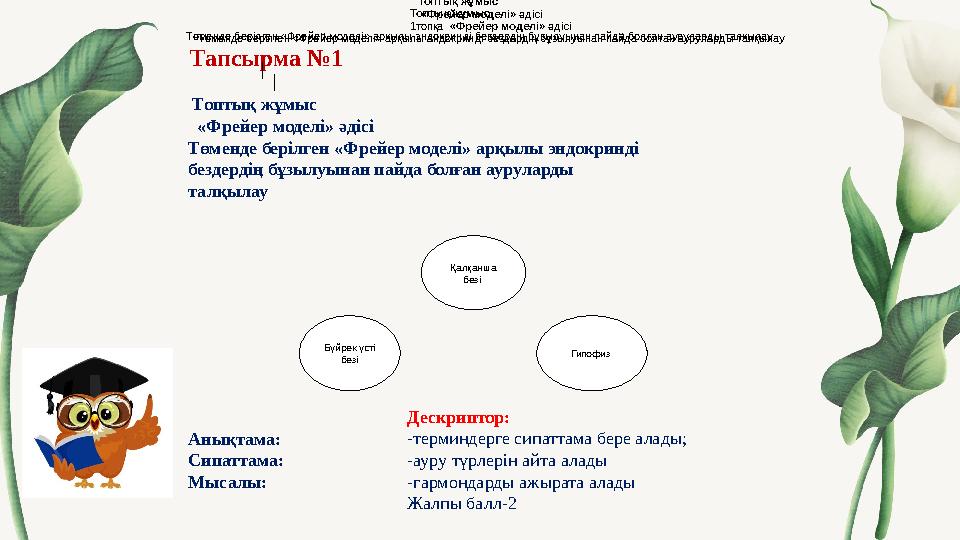 Тапсырма №1 Қалқанша безі Гипофиз Бүйрек үсті безі Топтық жұмыс 1топқа «Фрейер моделі» әдісі Төменде берілген «