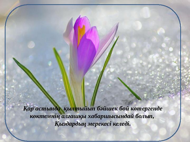 Қар астында қылтыйып бәйшек бой көтергенде көктемнің алғашқы хабаршысындай болып, Қыздардың мерекесі келеді.