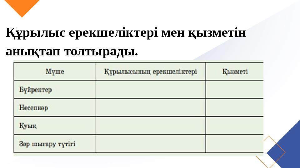 Құрылыс ерекшеліктері мен қызметін анықтап толтырады.
