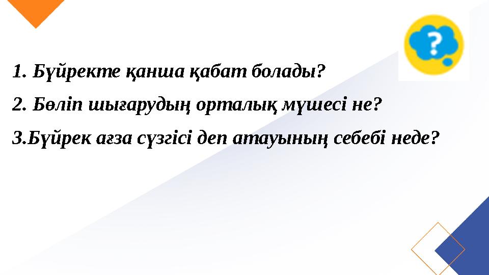 1. Бүйректе қанша қабат болады? 2. Бөліп шығарудың орталық мүшесі не? 3.Бүйрек ағза сүзгісі деп атауының себебі неде?