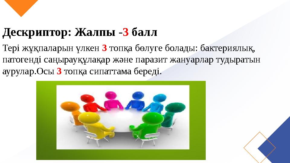 Дескриптор: Жалпы - 3 балл Тері жұқпаларын үлкен 3 топқа бөлуге болады: бактериялық, патогенді саңырауқұлақар және паразит ж