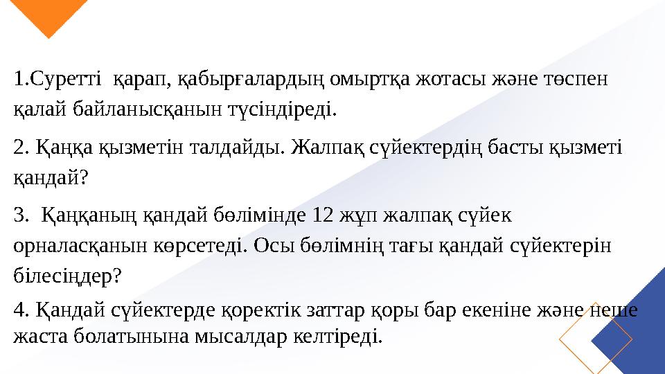 1.Суретті қарап, қабырғалардың омыртқа жотасы және төспен қалай байланысқанын түсіндіреді. 2. Қаңқа қызметін талдайды. Жалпақ