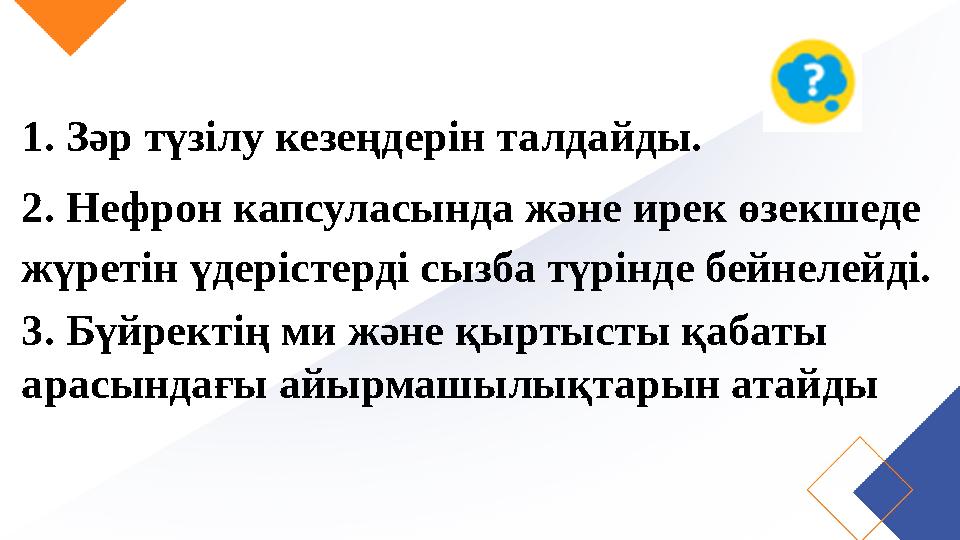 1. Зәр түзілу кезеңдерін талдайды. 2. Нефрон капсуласында және ирек өзекшеде жүретін үдерістерді сызба түрінде бейнелейді. 3.