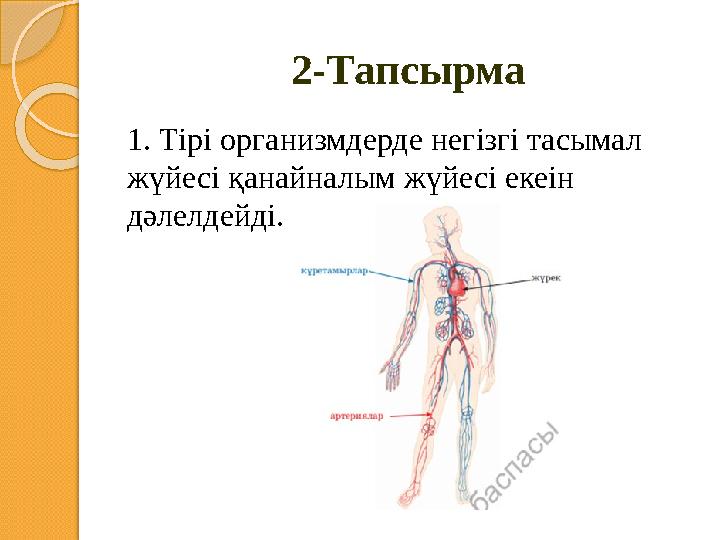 2-Тапсырма 1. Тірі организмдерде негізгі тасымал жүйесі қанайналым жүйесі екеін дәлелдейді.