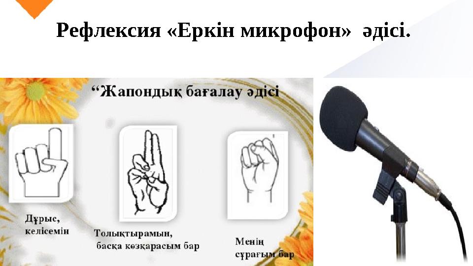 Рефлексия «Еркін микрофон» әдісі .