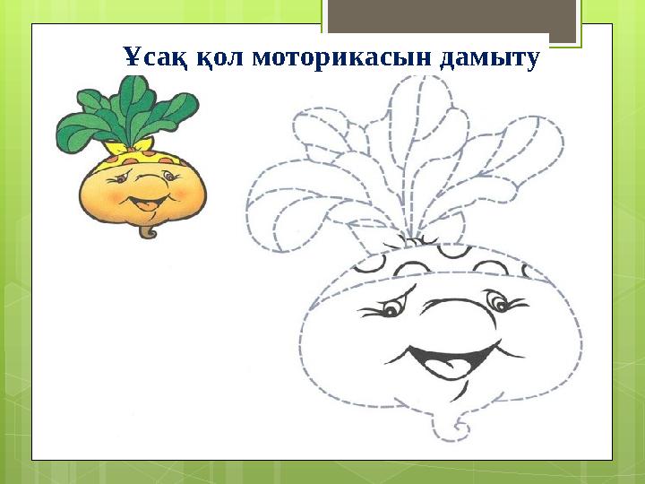 Ұсақ қол моторикасын дамыту