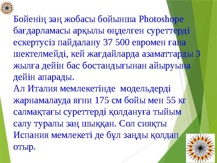 Бойенің заң жобасы бойынша Photoshope бағдарламасы арқылы өңделген суреттерді ескертусіз пайдалану 37 500 евромен ғана шекте