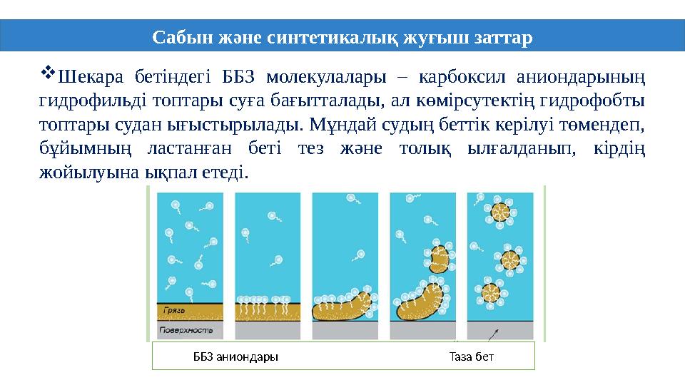  Шекара бетіндегі ББЗ молекулалары – карбоксил аниондарының гидрофильді топтары суға бағытталады, ал көмірсутектің ги