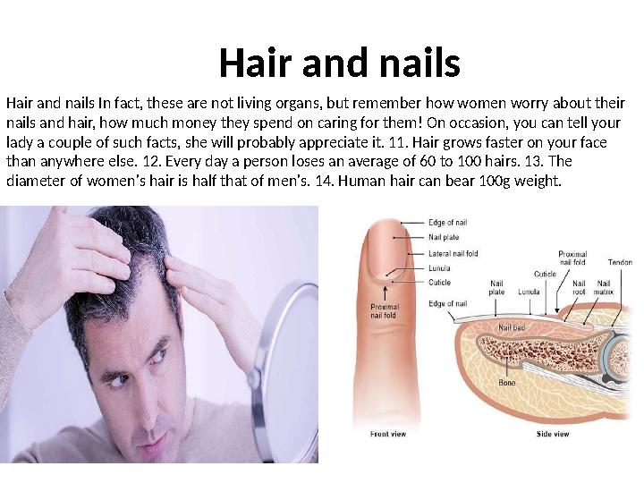 Hair and nails Hair and nails In fact, these are not living organs, but remember how women worry about their nails and hair, ho