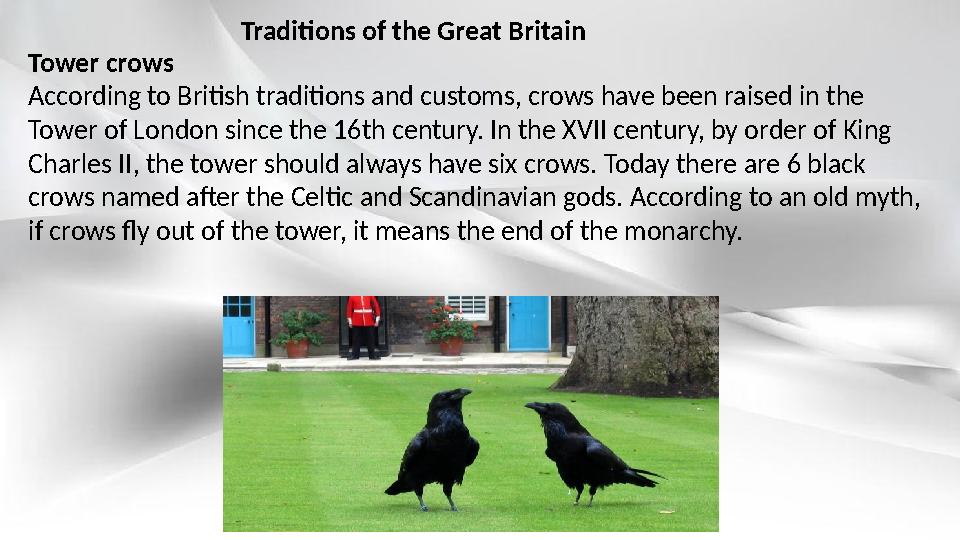 Tower crows According to British traditions and customs, crows have been raised in the Tower of London since the 16th century.