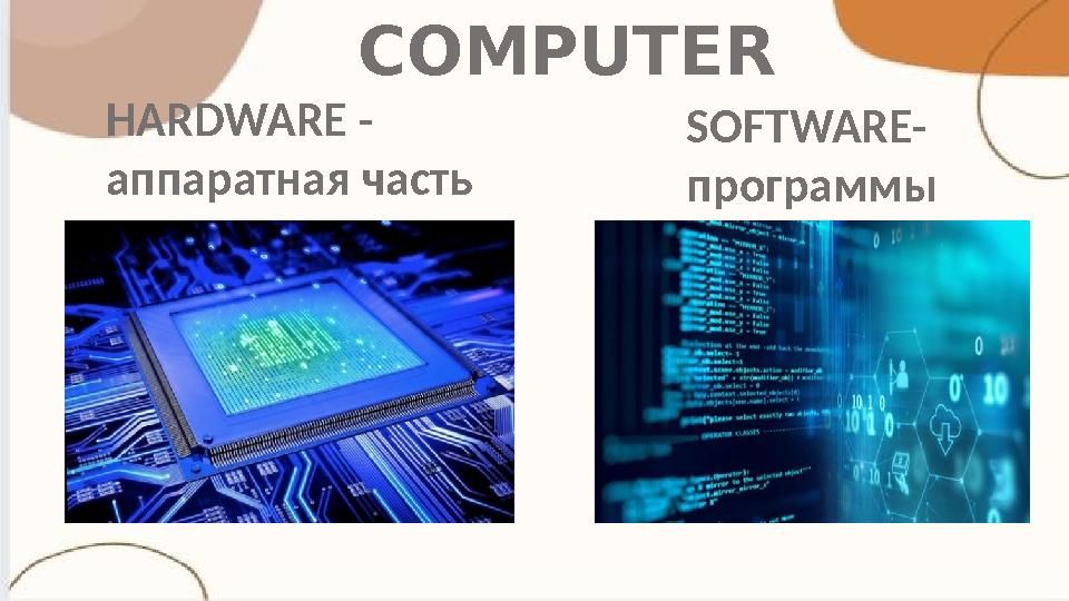 COMPUTER HARDWARE - аппаратная часть SOFTWARE- программы