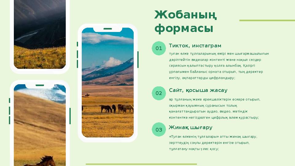 Жобаның формасы туған өлке тұлғаларының өмірі мен шығармашылығын дәріптейтін видеолар контенті және нақыл сөздер сериясын қал